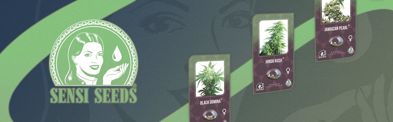 Sensi Seeds brand banner
