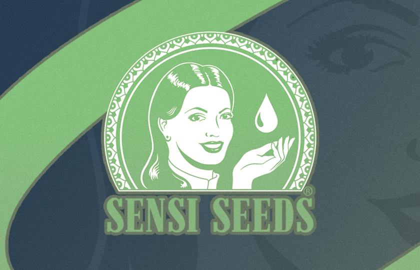 Sensi Seeds