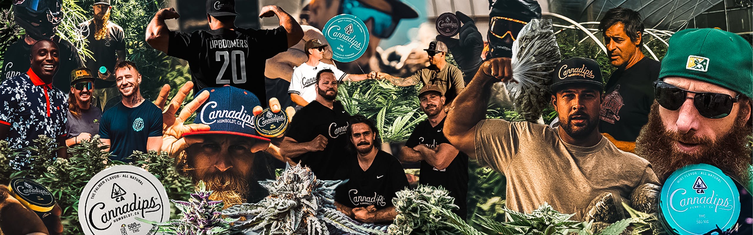 Cannadips brand banner