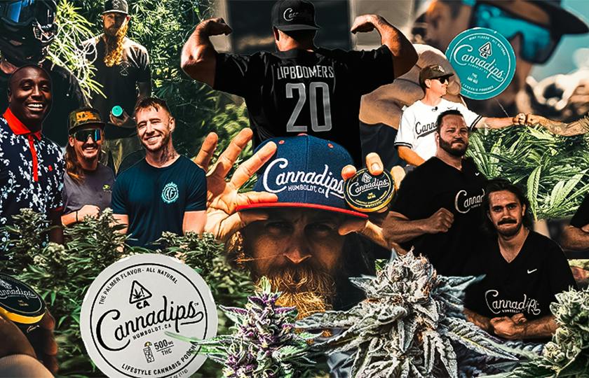 Cannadips