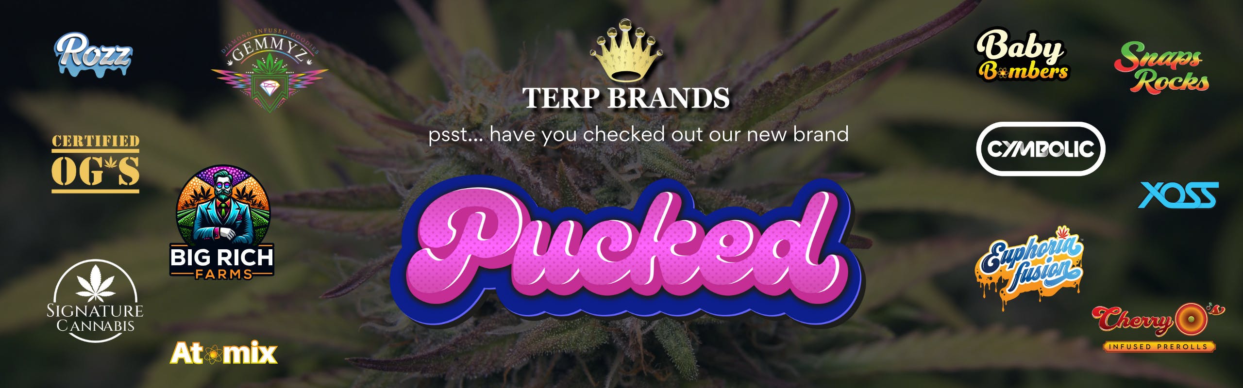 Terp Brands brand banner