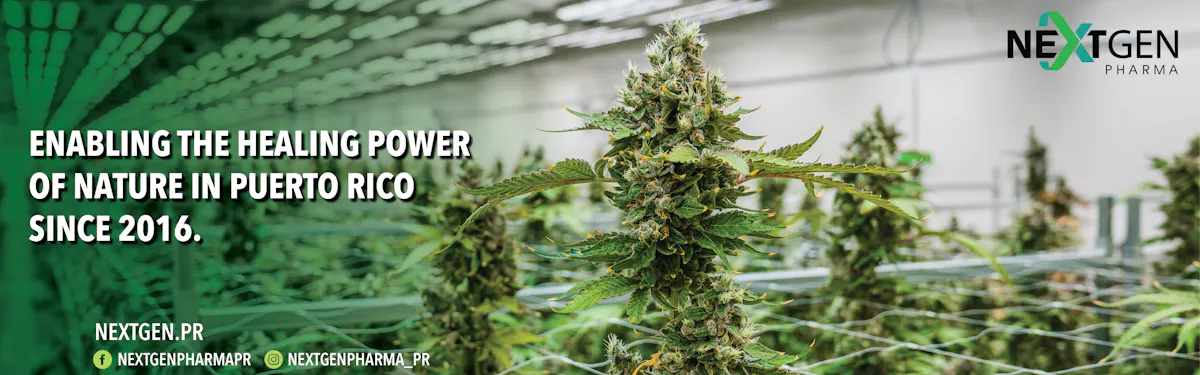NextGen Pharma brand banner