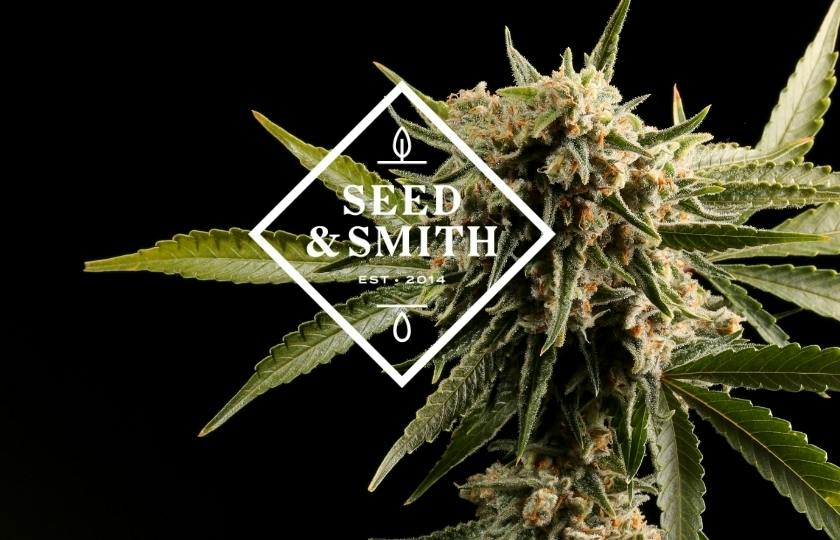 Seed & Smith Cannabis