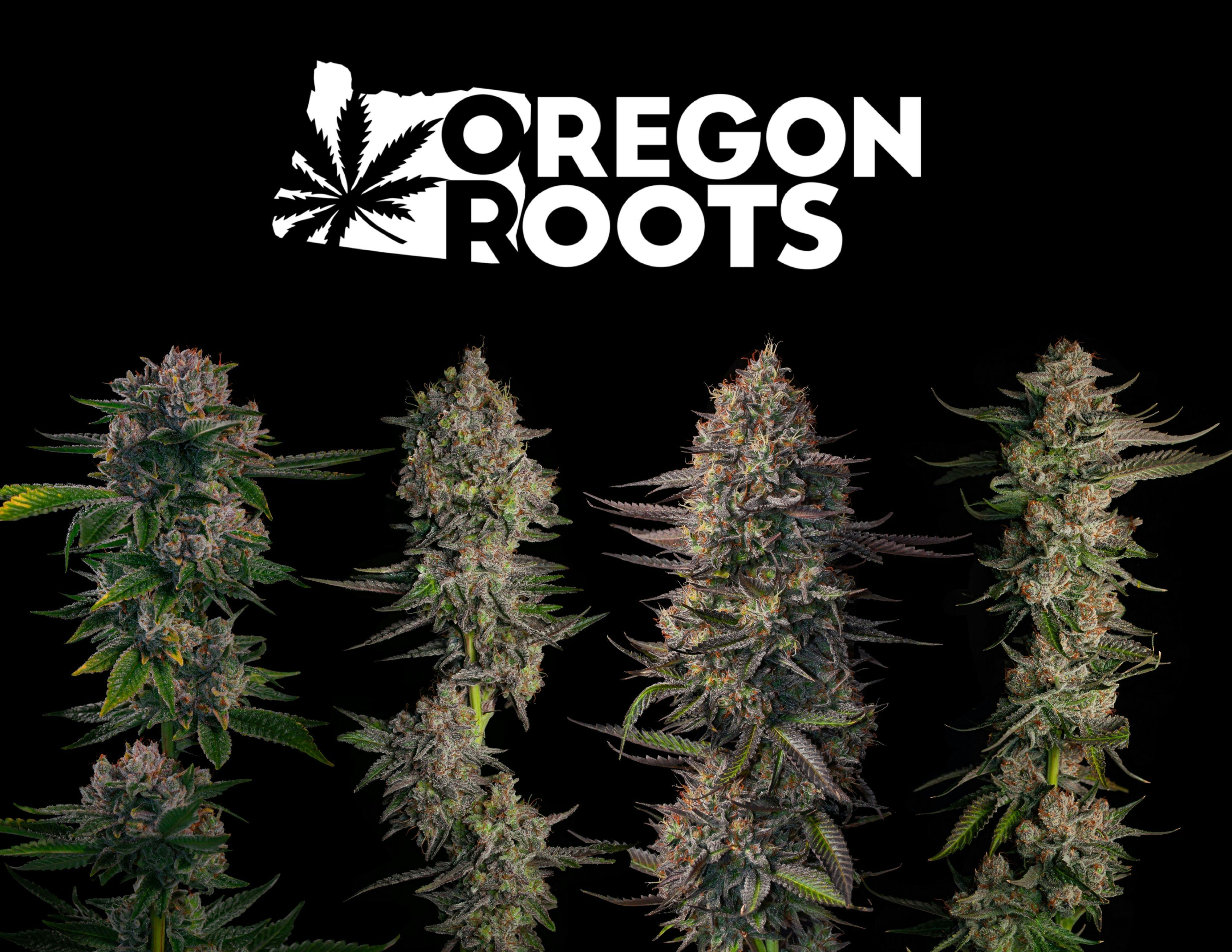 Oregon Roots brand banner