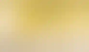 OLIO