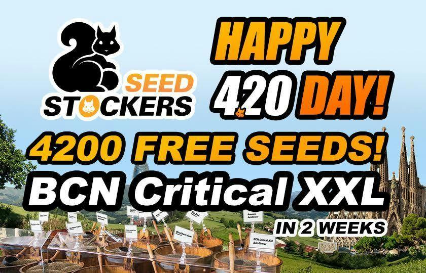 Seed Stockers