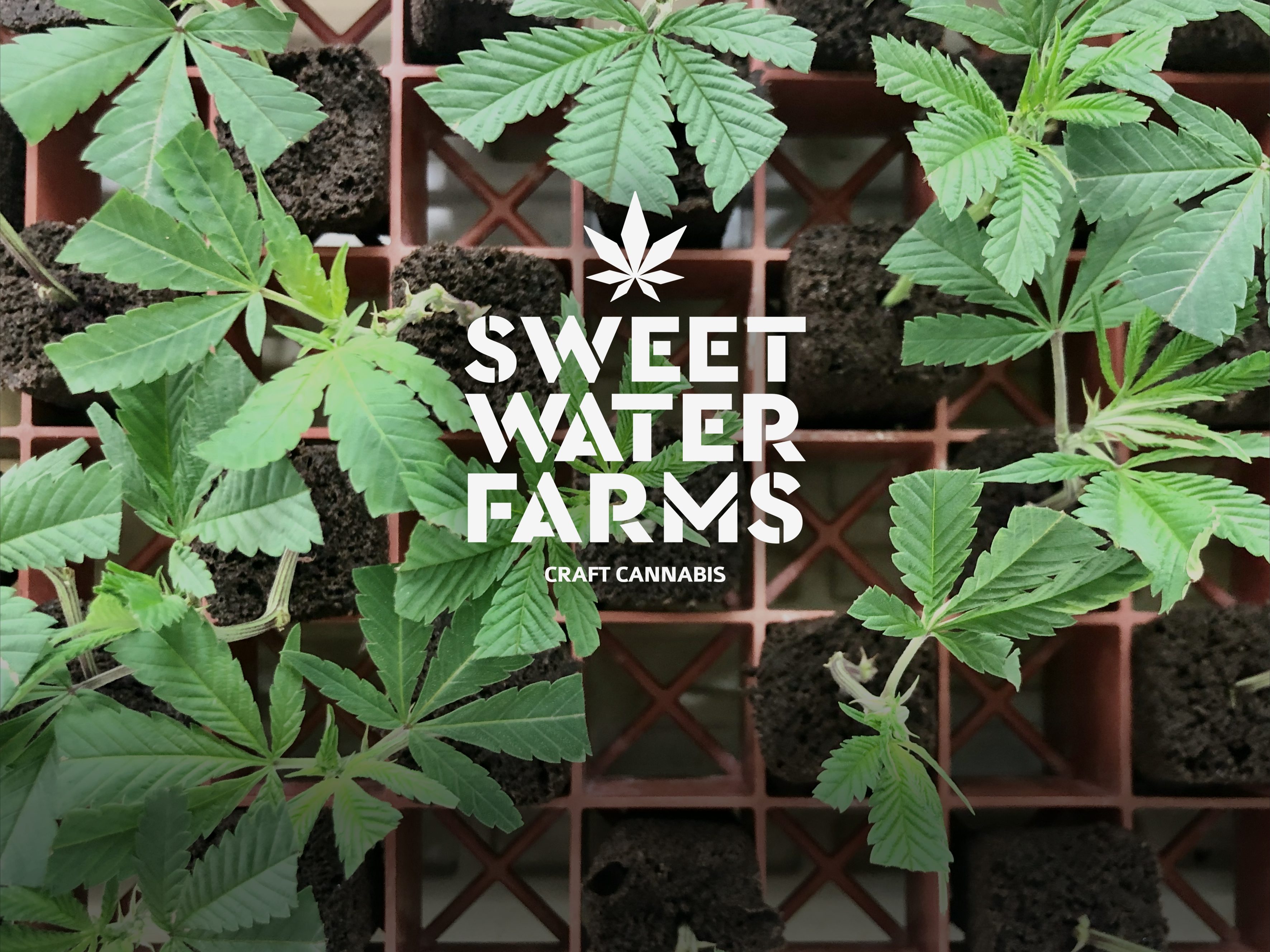 Sweetwater Farms banner