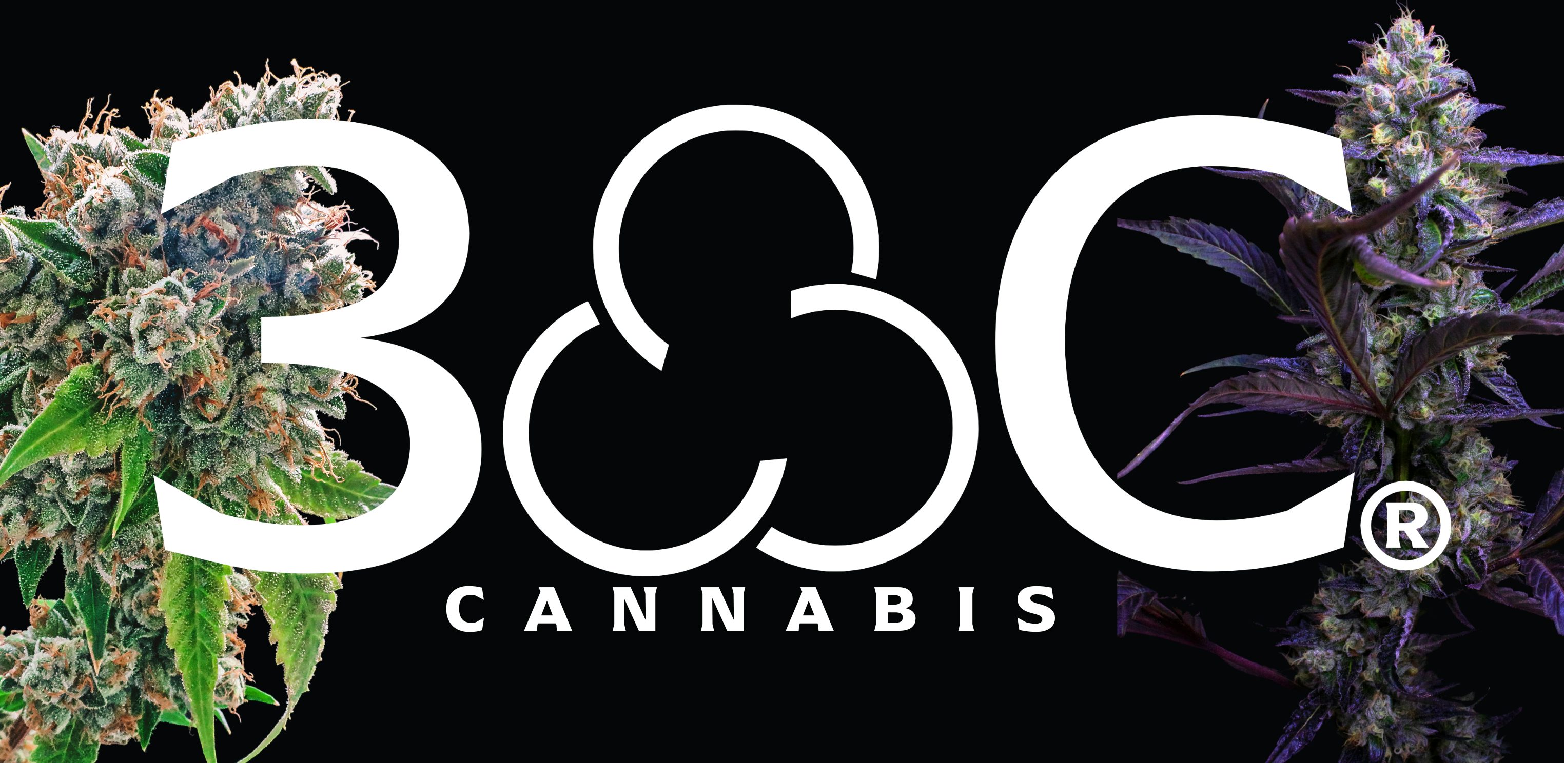 3C Cannabis banner