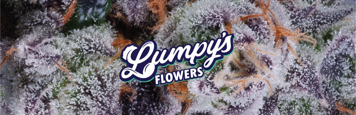Lumpy's Flowers brand banner