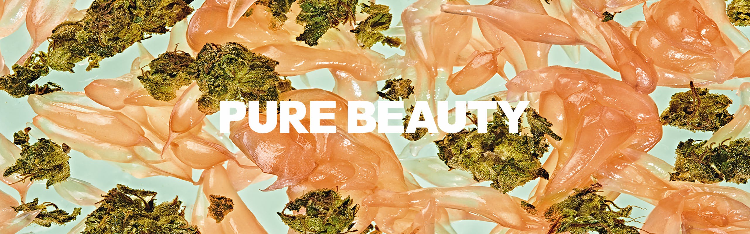 Pure Beauty brand banner