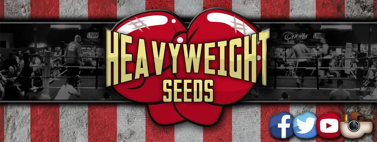 Heavyweight Seeds brand banner