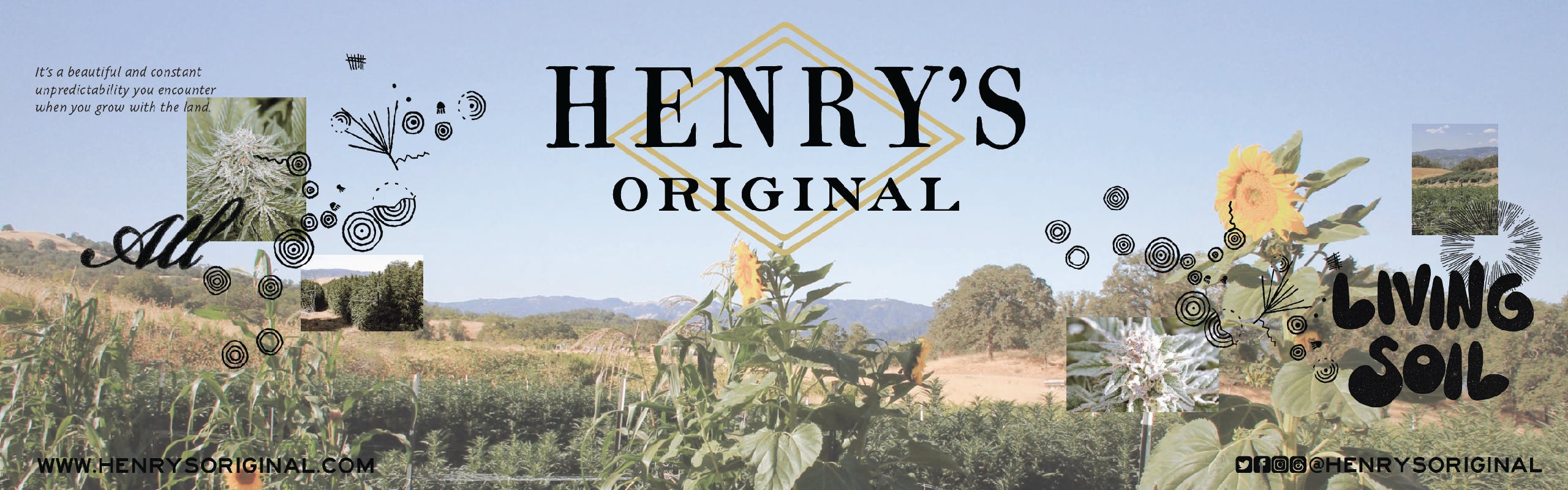 Henry's Original brand banner