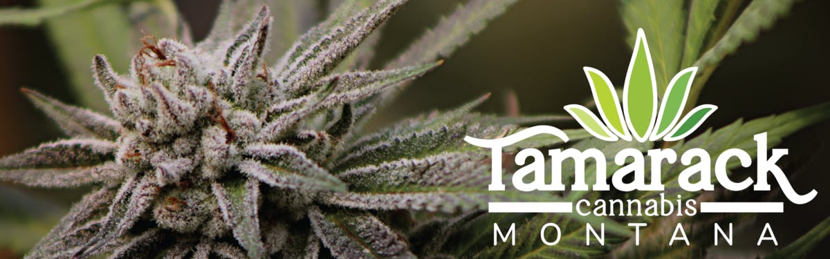 Tamarack Cannabis brand banner