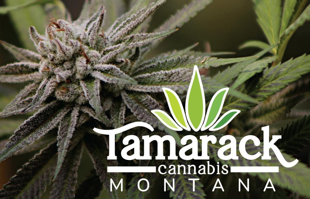 Tamarack Cannabis