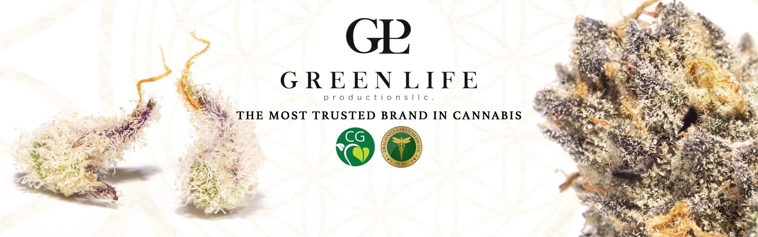 GLP brand banner