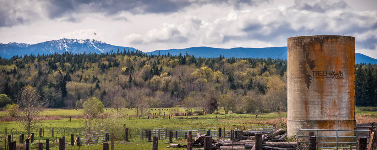 TreeHawk Farms brand banner