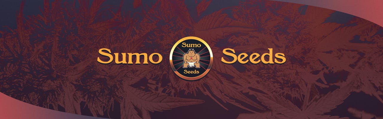 Sumo Seeds brand banner