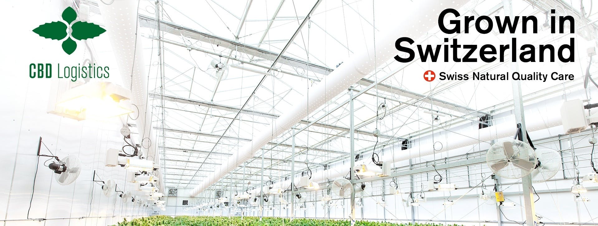 CBD Logistics brand banner