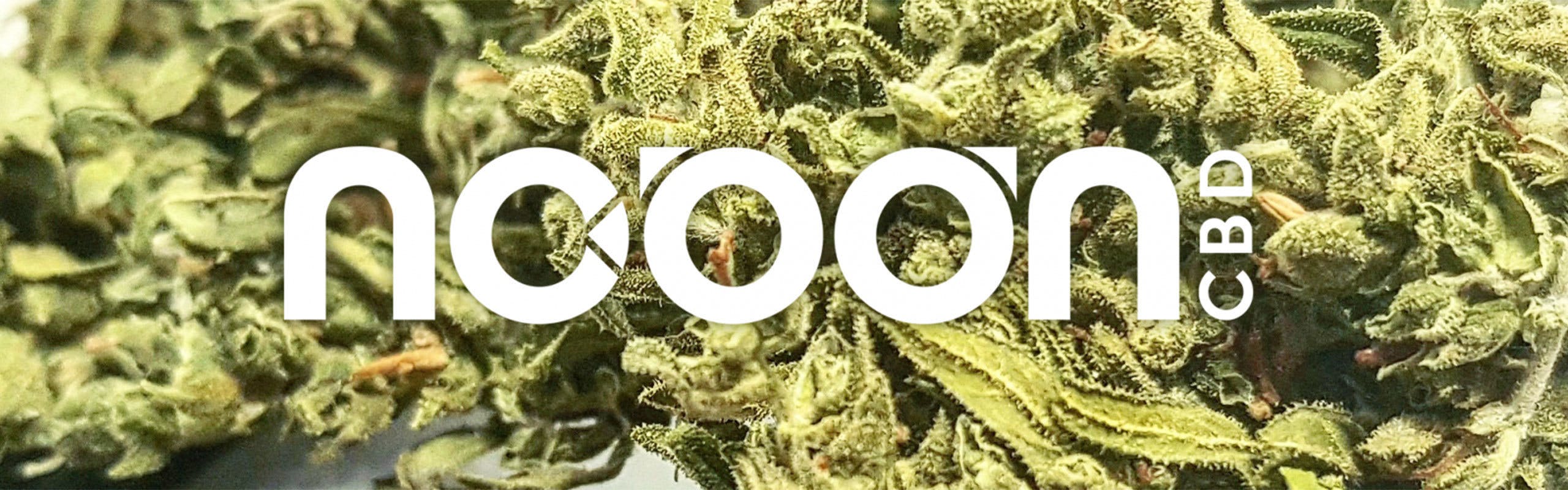 NOOON CBD brand banner
