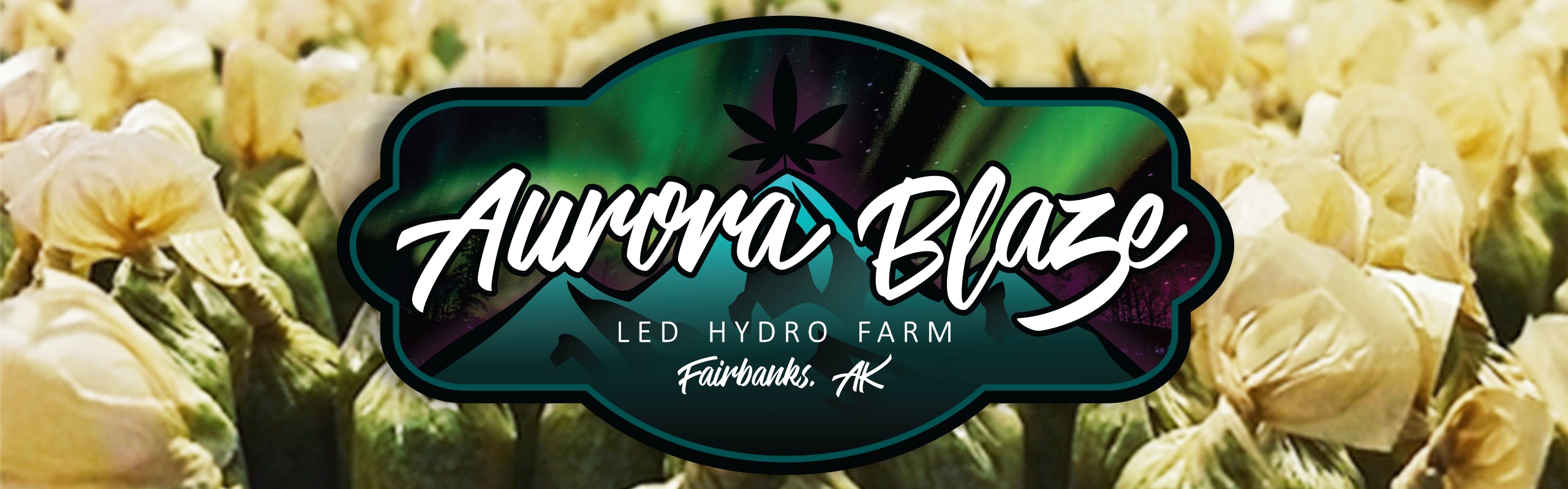Aurora Blaze brand banner