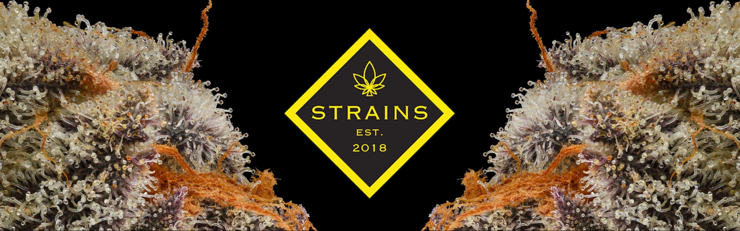 Strains brand banner