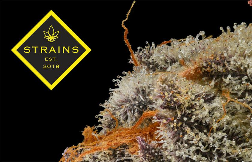 Strains