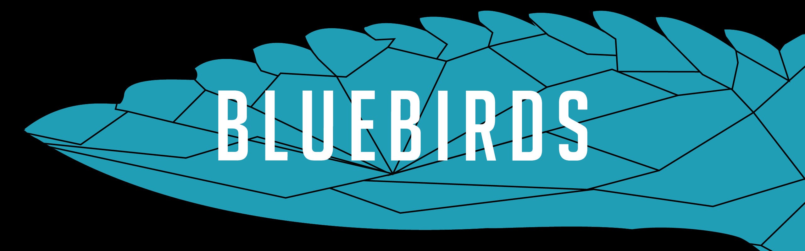 BlueBirds brand banner