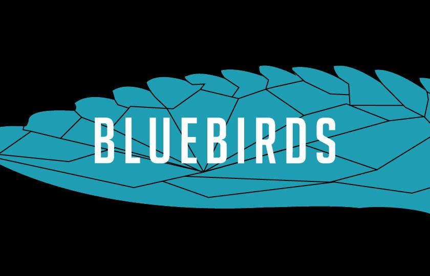BlueBirds