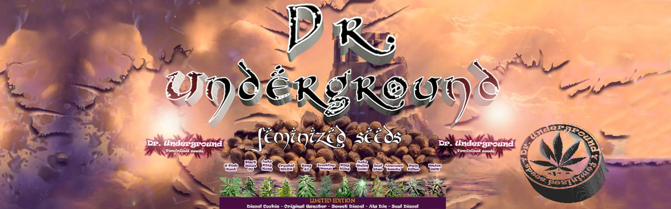 Dr Underground brand banner