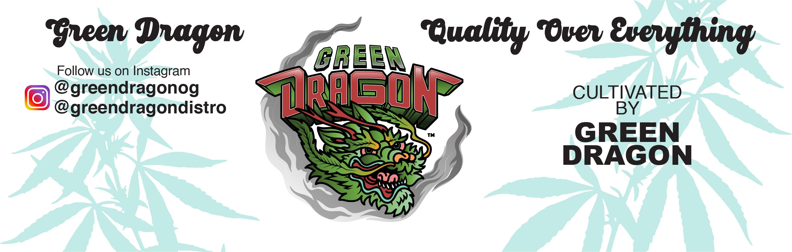 Green Dragon brand banner