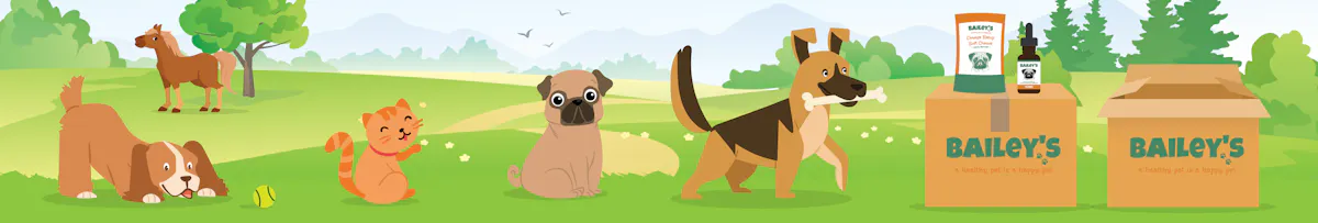 Bailey's CBD brand banner