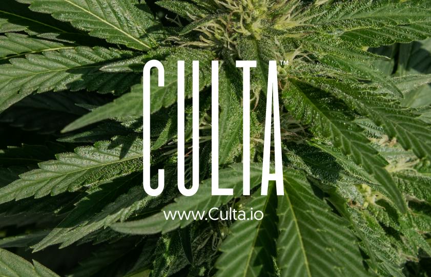 Culta