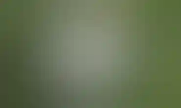Culta