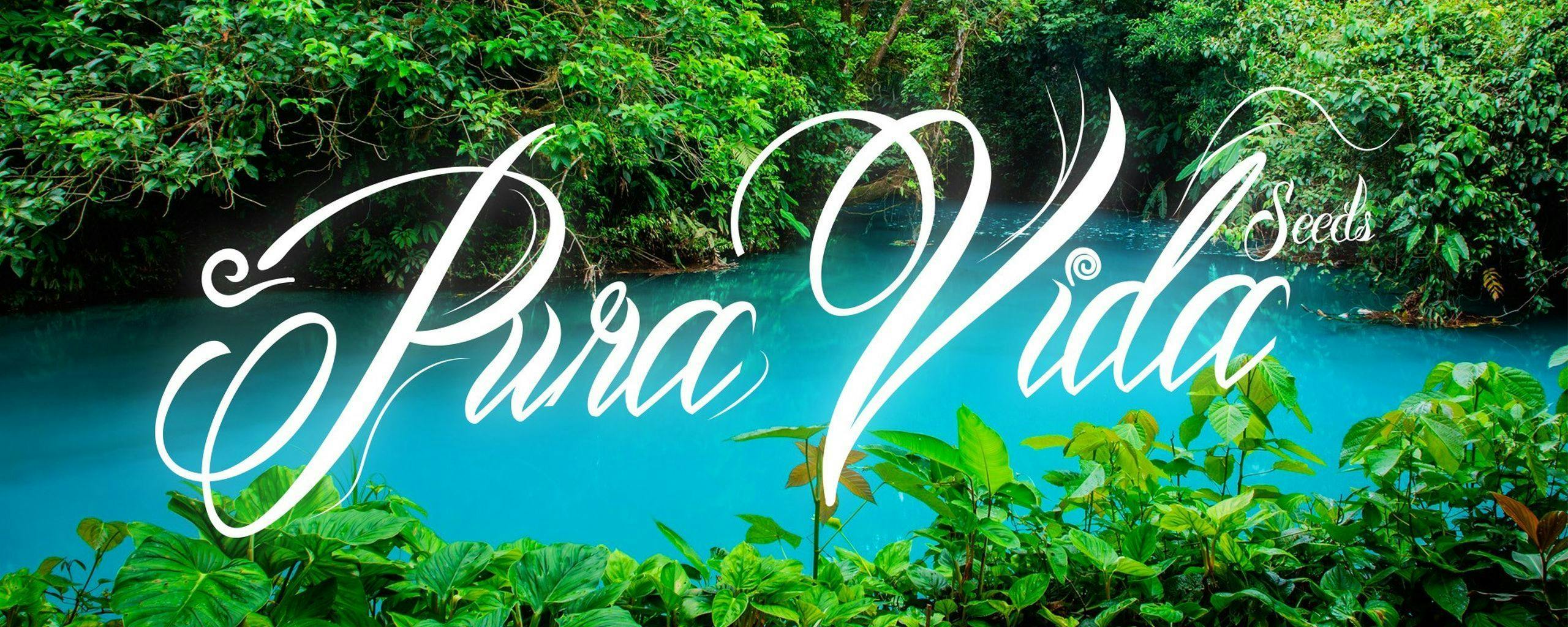 Pura Vida Seeds brand banner