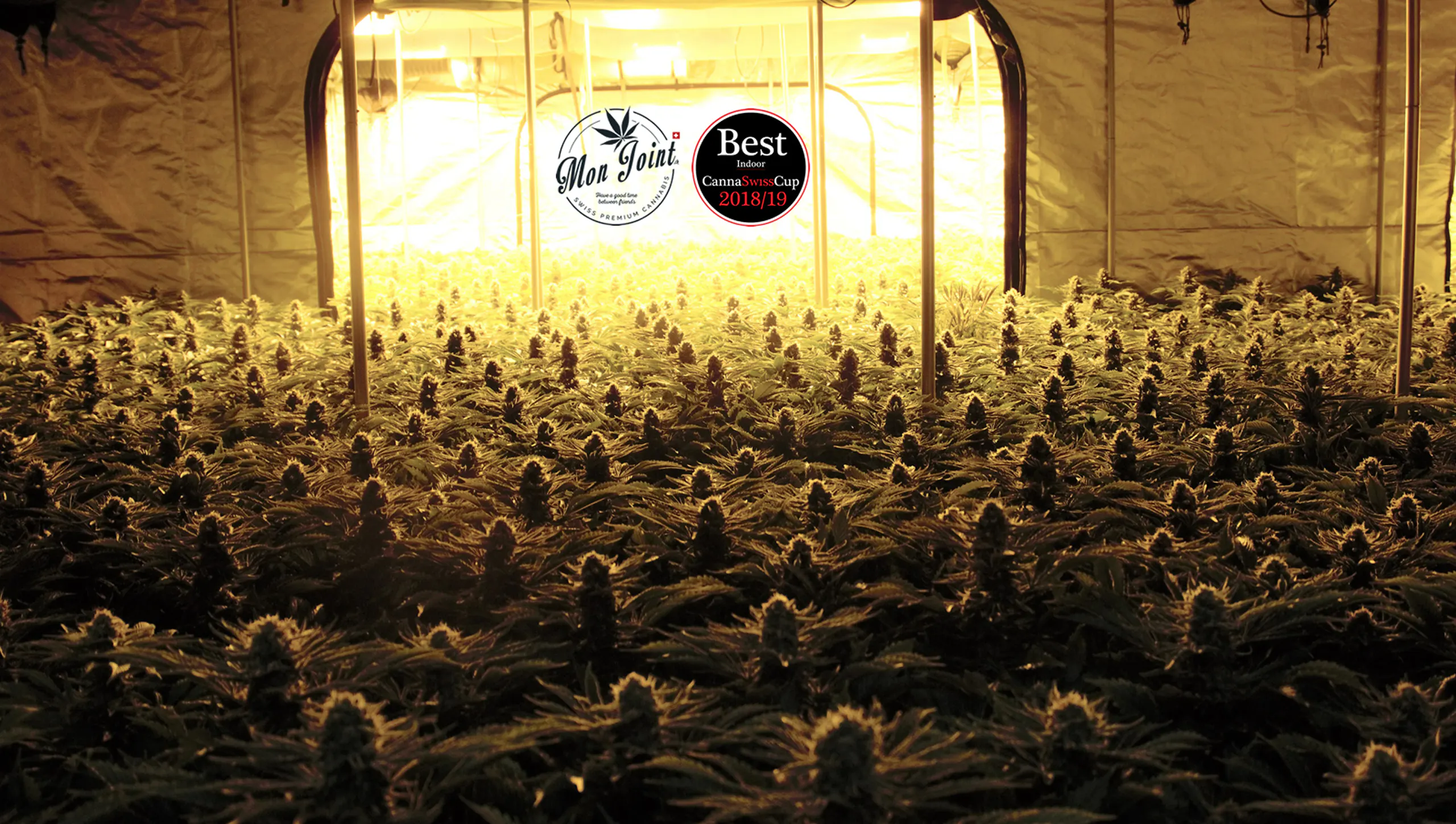 Mon Joint brand banner
