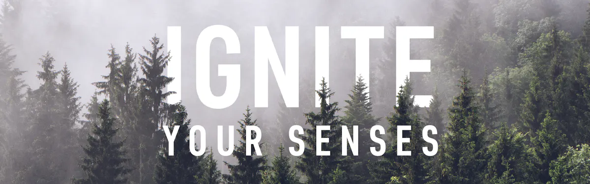 CRU Cannabis brand banner