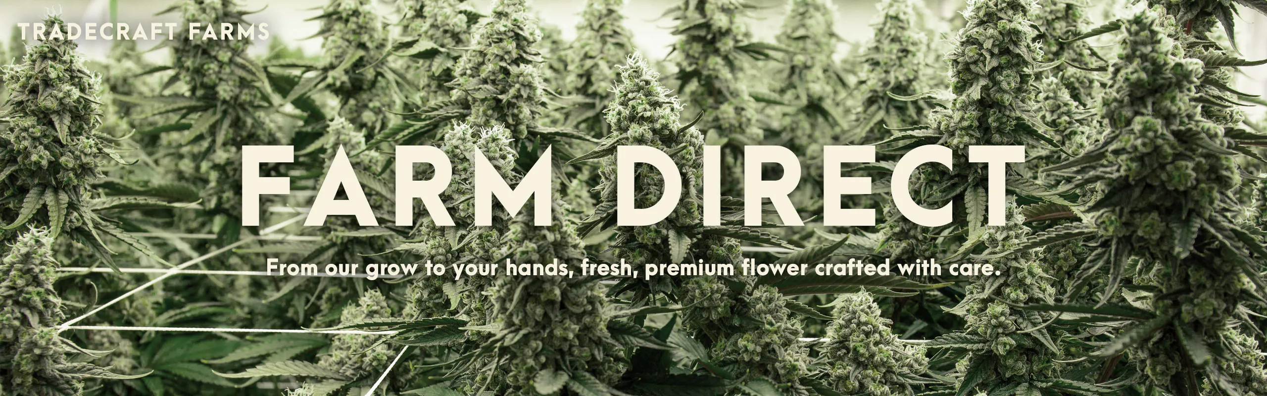 Tradecraft Farms brand banner