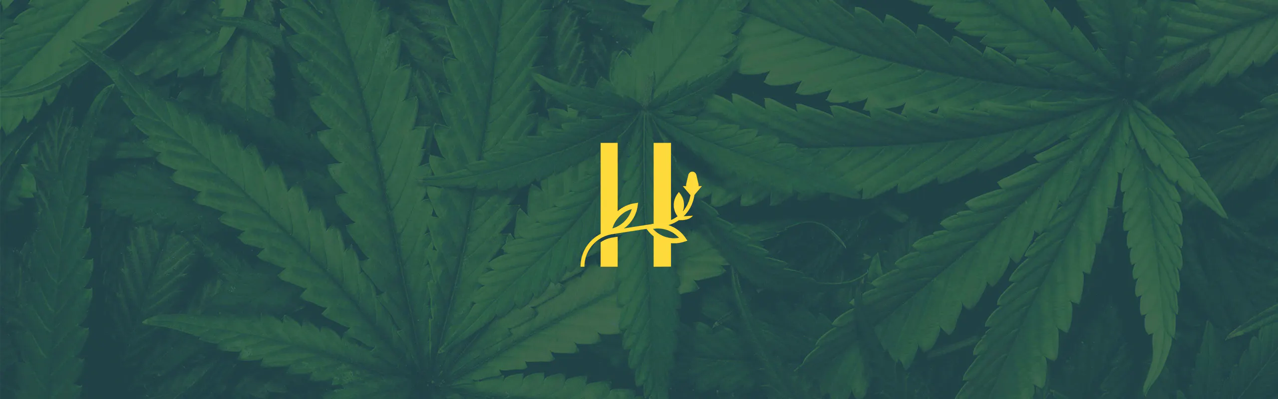 Harvest brand banner