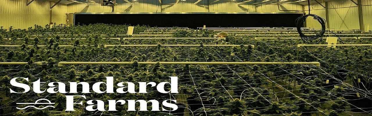 Standard Farms brand banner