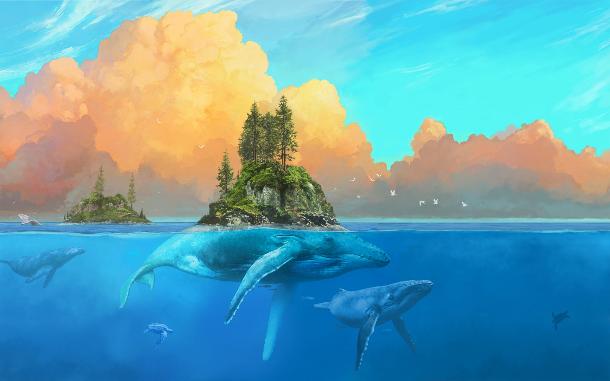 Falcanna brand banner