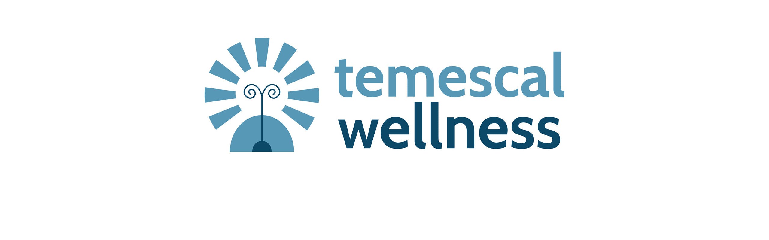 Temescal Wellness brand banner