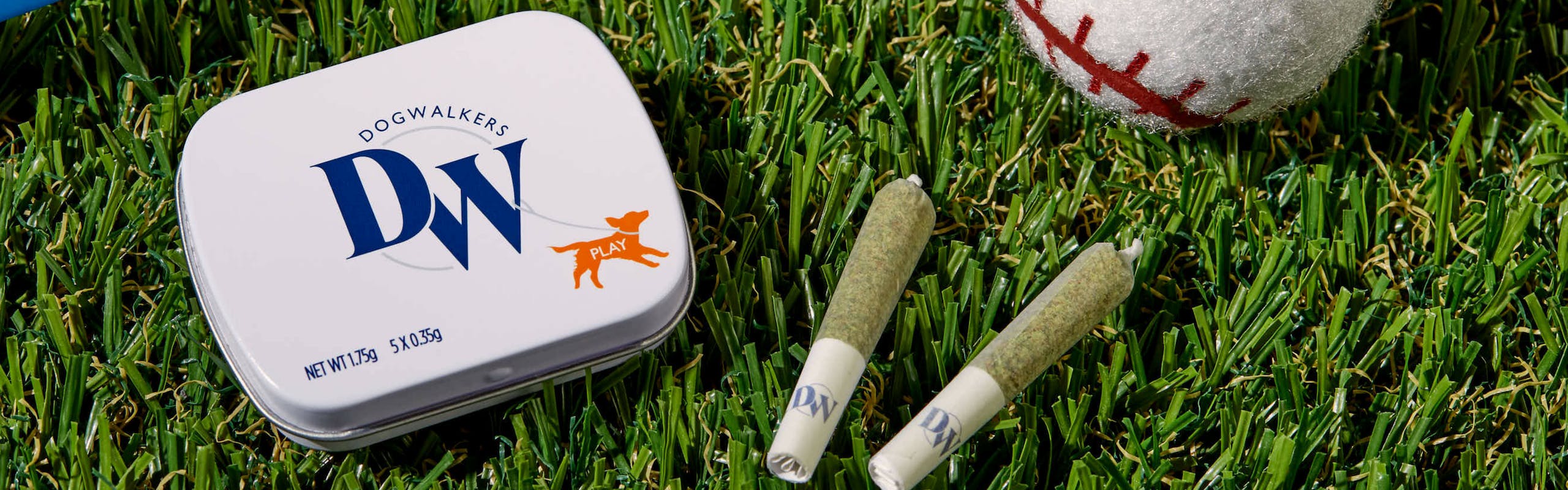 Dogwalkers brand banner