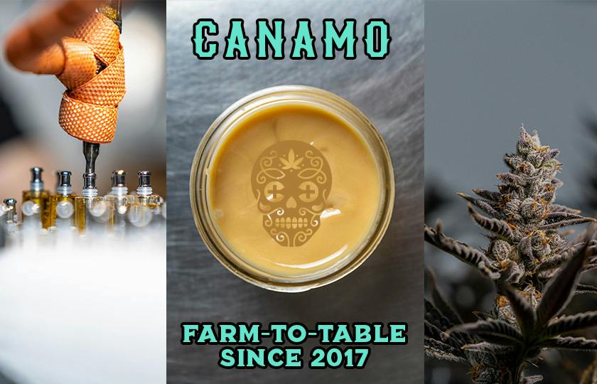 Canamo AK