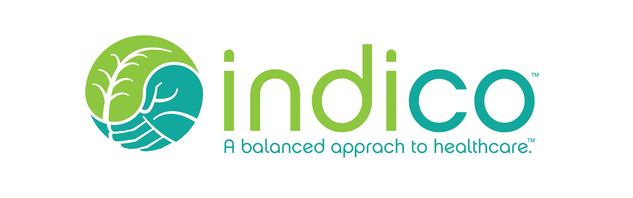 Indico brand banner