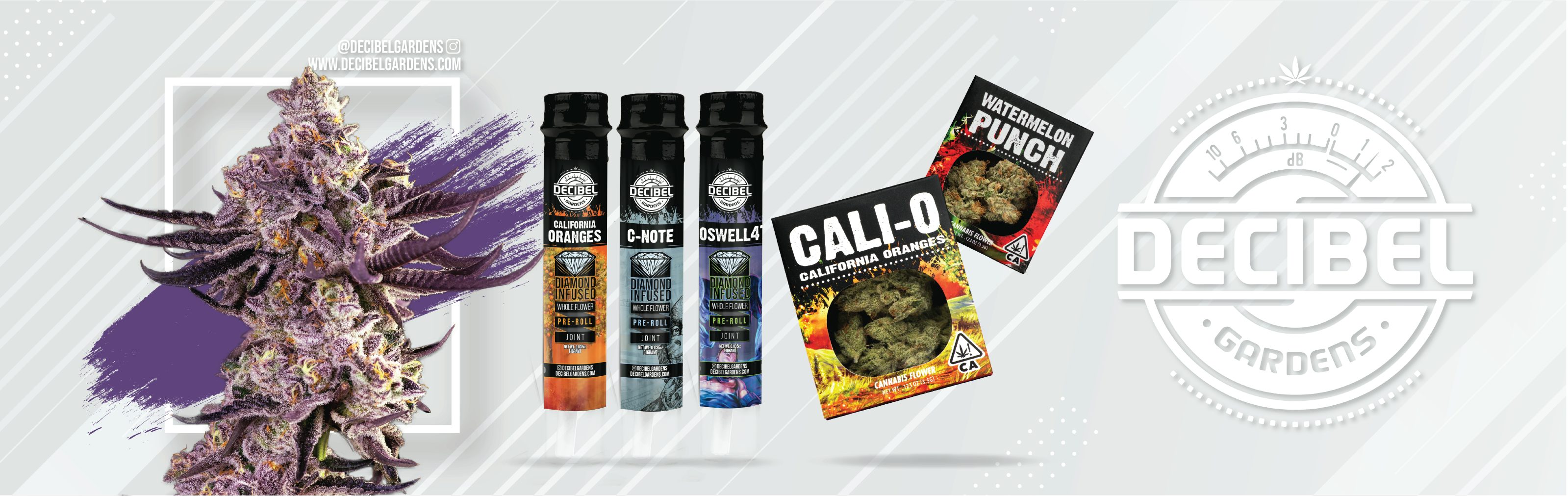 Decibel Gardens Live Resin for Sale Weedmaps