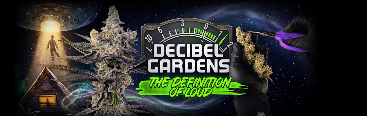Decibel Gardens brand banner