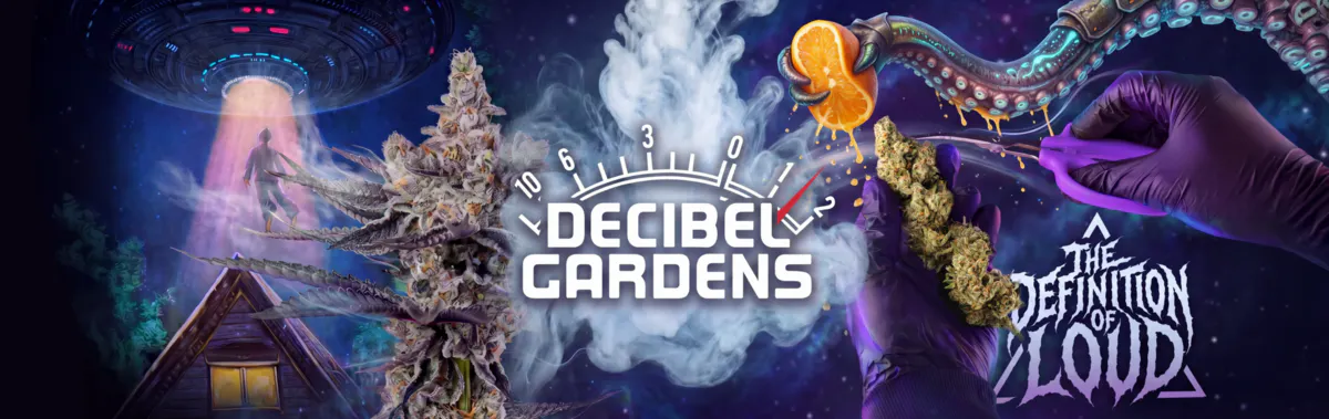 Decibel Gardens brand banner