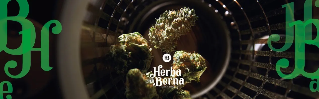 Herba di Berna AG brand banner
