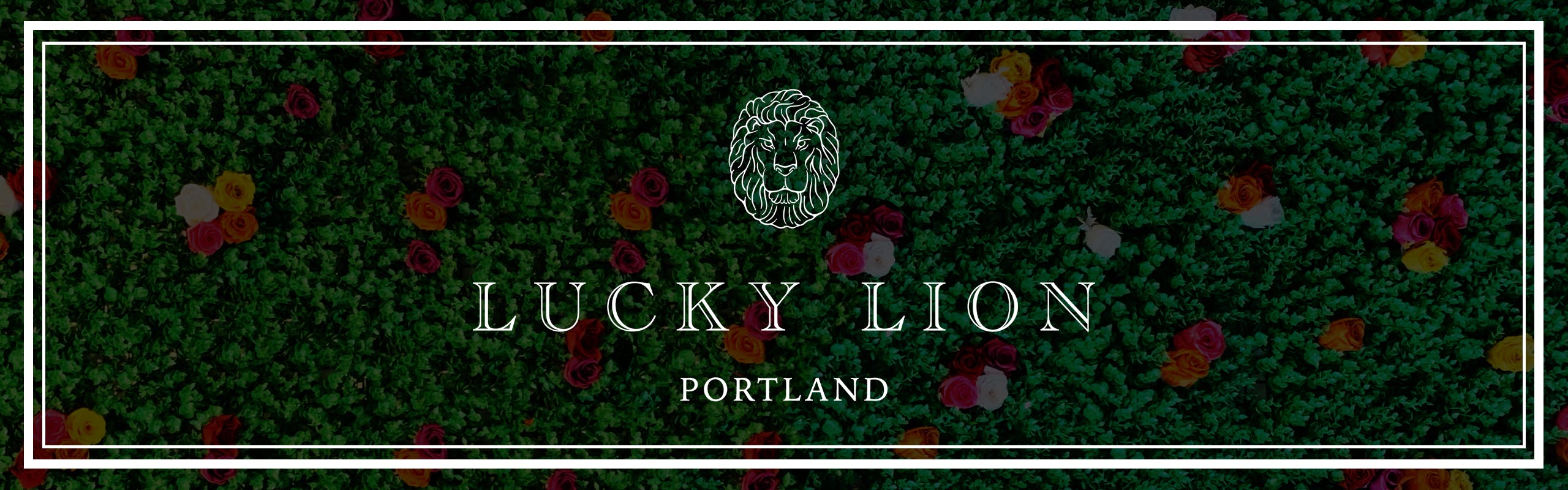 Lucky Lion brand banner