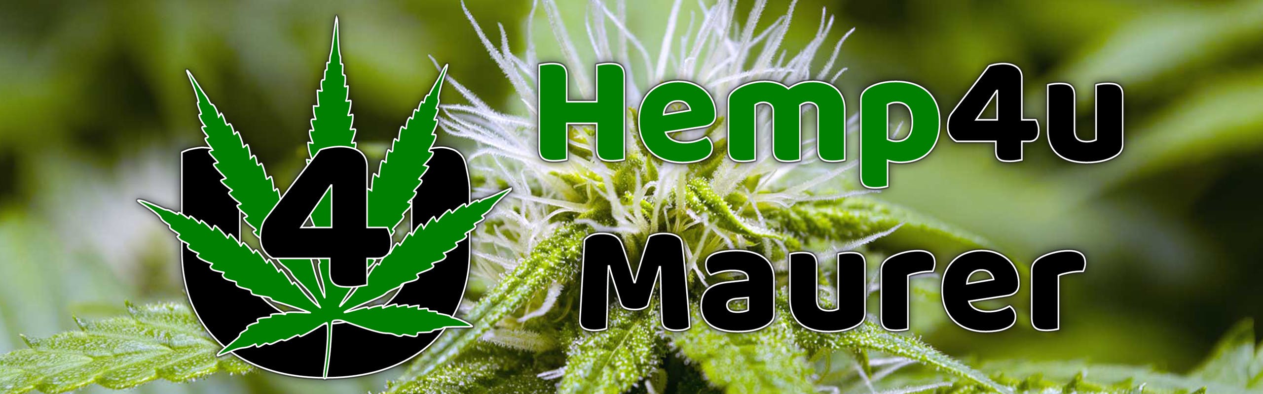 Hemp4u Maurer brand banner